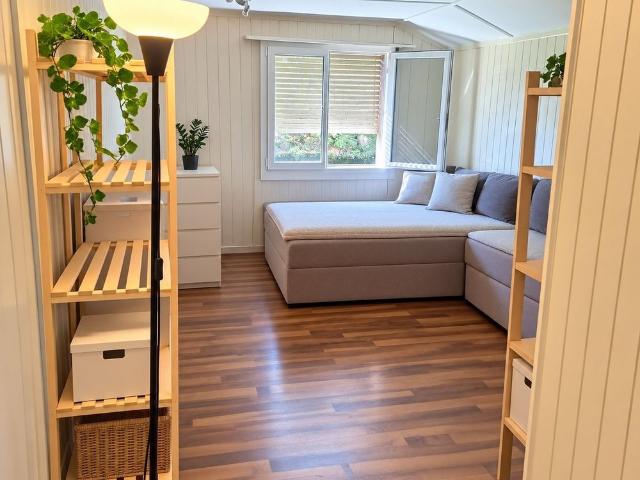 Charmantes 1 Zimmer Studio in Heimberg + Parkplatz & Keller