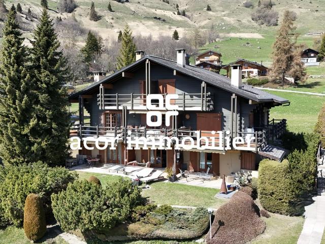 Charmantes 3 Zimmer Duplex in Verbier, Erdgeschoss, mit herrlichem Blick