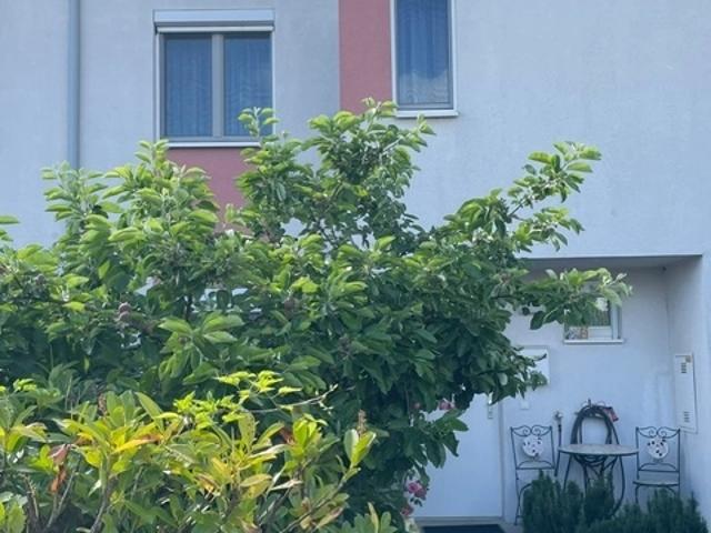 Charmantes 4 Zimmer Reihenhaus mit Garten in Wien Donaustadt Provisionsfrei