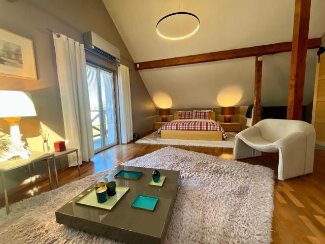 Charme, confort & piscine chauffée aux portes de Genève 218m² Ambilly