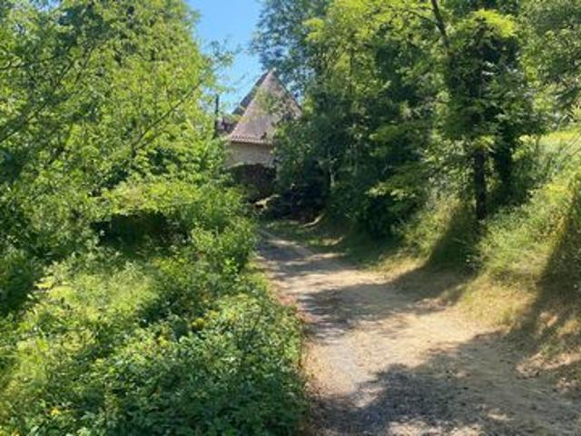 Source, ruisseau, charme, authenticité, zénitude et fraicheur des arbres