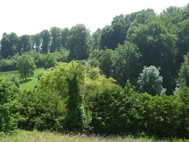 Charme des alten mit cachet