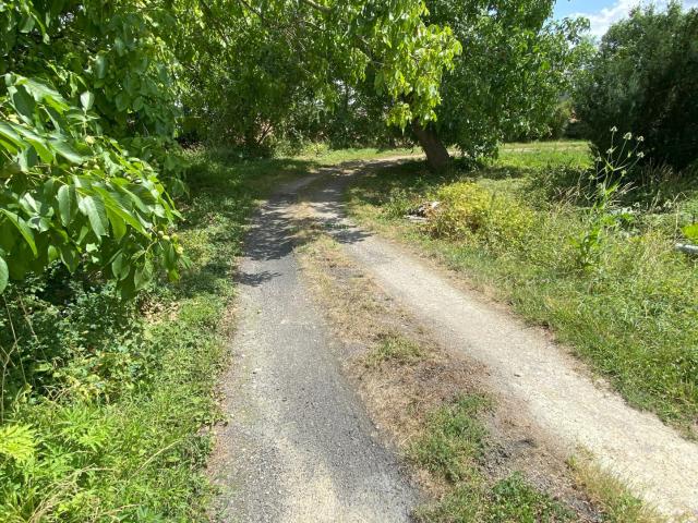 CHARME ET AUTHENTICITÉ POUR CETTE BATISSE DANS LE VIGNOBLE