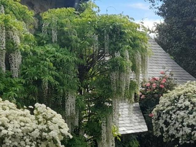 Charme et authenticité pour cette maison sur Bouère