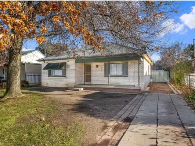 Just in! 4 BR 514 Kooringal Road, Kooringal House for rent Li.
