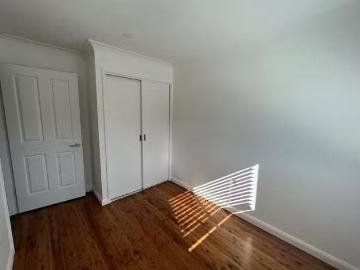 Tuggerah Lake, Jilliby, Wyong Region, Snapper Island