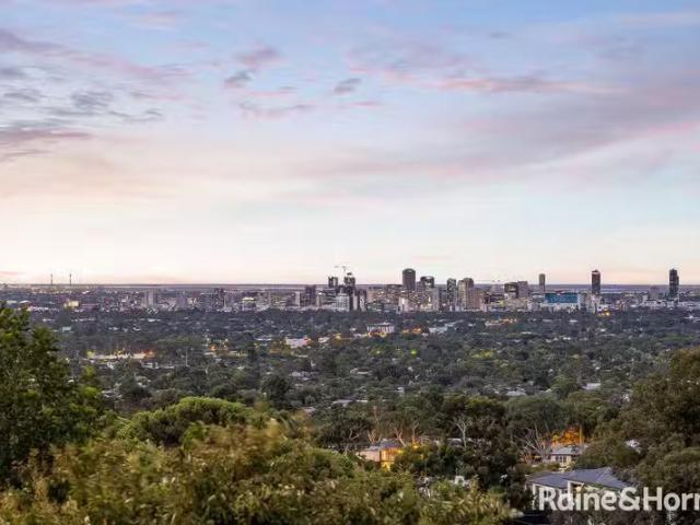 Rental! 7 Arcadia Court, Mitcham SA 5062