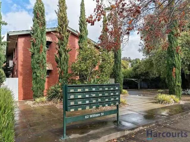 Cozy 11/62 William Street, Norwood, SA 5067