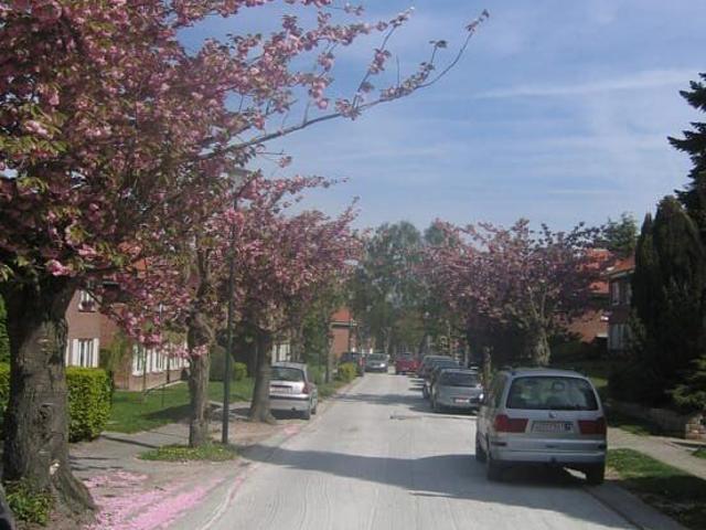 Charming 165m² house with 4 bedrooms, 2 bathrooms