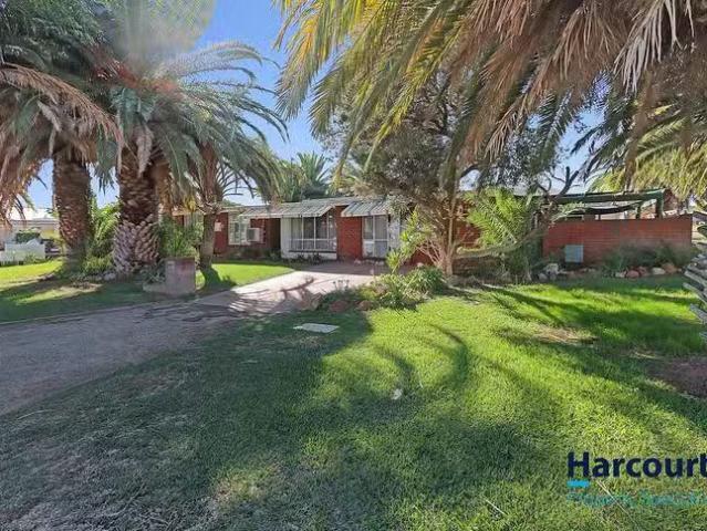 For Rent! 16 Scroop Way, Spearwood, WA 6163