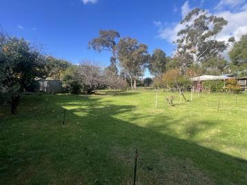 Charming 1960s character home with shed & alfresco near the Estuary