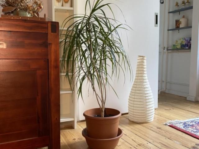 charming 1 bedroom apartment in Neukölln