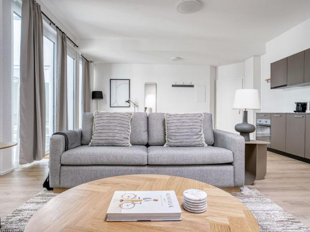 Charming 1 Bedroom Furnished Apartment in Basel Bachletten, Basel Amsterdam Apartments for Rent