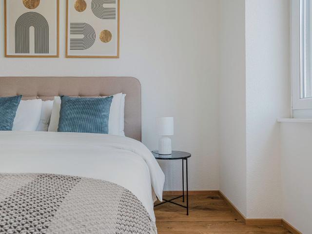 Charming 1 Bedroom Furnished Apartment in Basel Iselin, Basel Amsterdam Apartments for Rent