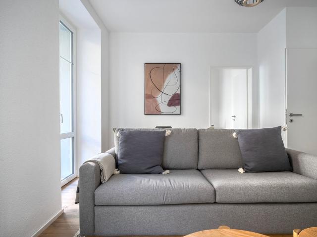 Charming 1 Bedroom Furnished Apartment in Seefeld, Zurich Amsterdam Apartments for Rent