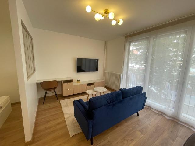 Charming 1 Bedroom Newly Renovated 33m² Great Location 15th arrondissement, Paris Amsterdam Apartments for Rent