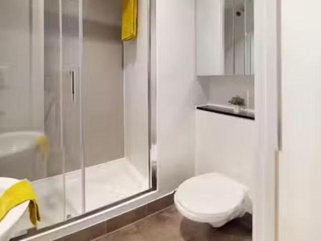 Charming 1 BR Platinum Studio