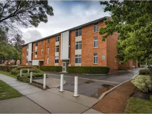Just in! 1 BR 50/22 24 Moore Street, Turner Apartment for rent.