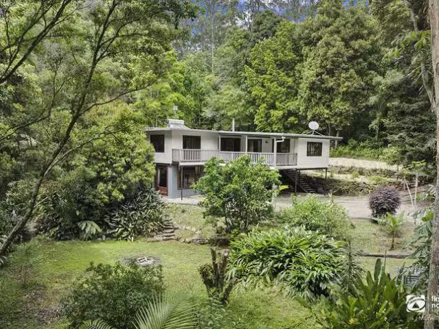 Rental! 2038 Numinbah Road, Numinbah, NSW 2484