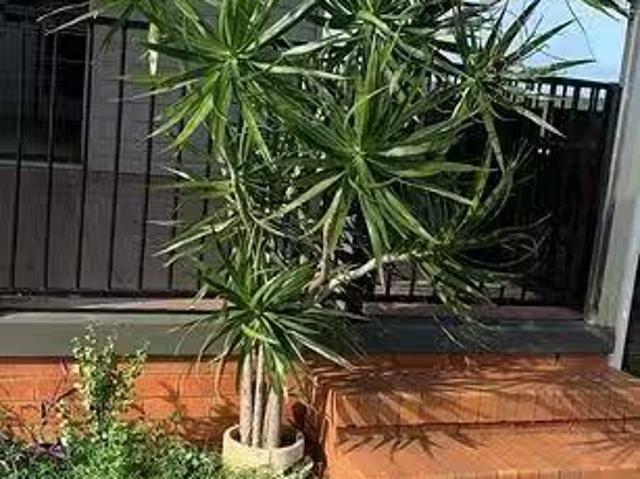 Nice 259 Lake Clarendon Way, Lake Clarendon, QLD 4343