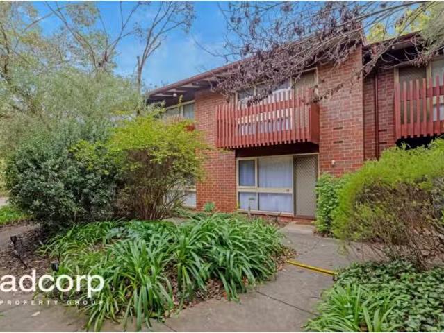 Unique 2 BR 12/36 Trevelyan Street, WAYVILLE Apartment for ren.