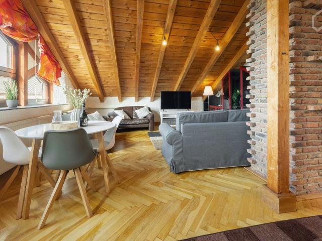 Charming 2 room top floor apartment, Koln Amsterdam Apartments for Rent