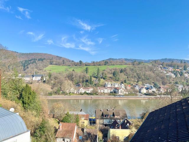 Charming, 2,5 Room Atelier Apartment in Heidelberg with a view Heidelberg Amsterdam Apartments for Rent