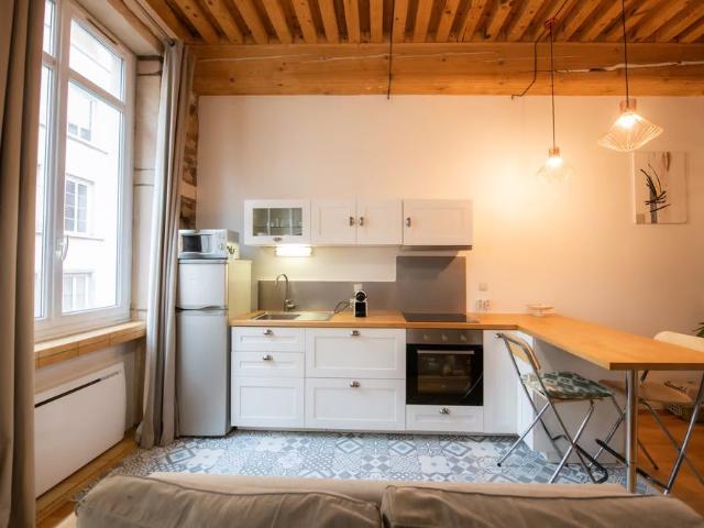 Charming 30 m² Apartment in Lyon