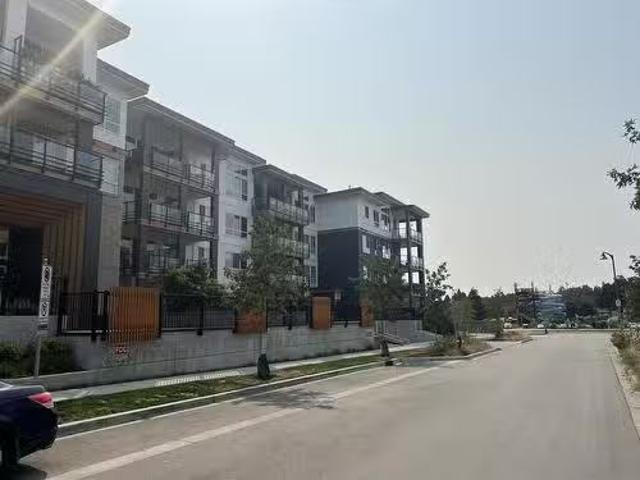 Deal! 311 1792 Starling Drive, Delta, BC, V4M 0E4 lease for.