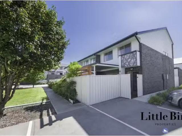 For Rent! 38/2 Clare Burton Crescent, Franklin Townhouse for r.