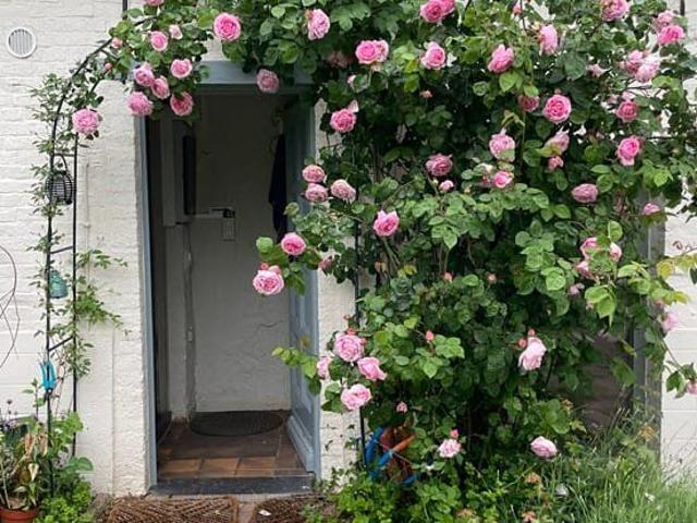 Charming 3 Bed House w/ Large Garden