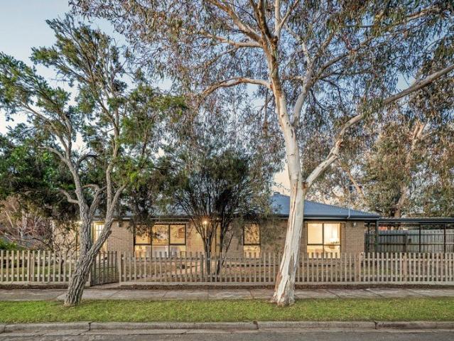 Charming 3 Bedroom, 1 Bath Home in a Prime Location
