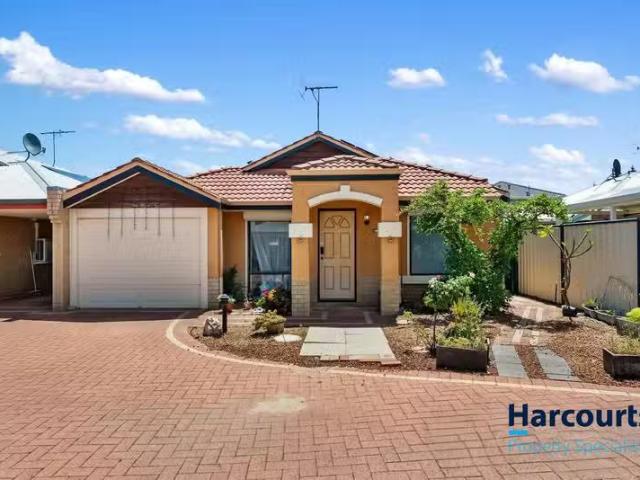 Rental! 3 BR 7/23 Royal Palm Drive, WARNBRO, WA 6169 House f.