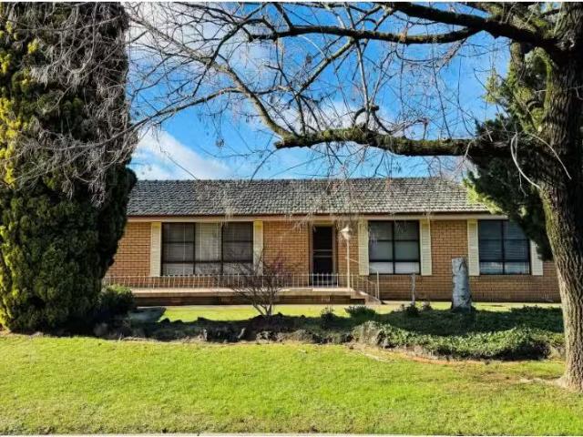 Cheap 3 BR 93 Icely Road, Orange House for rent Listed by Jan.