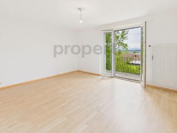 Charming 3 room apartment with balcony, ins