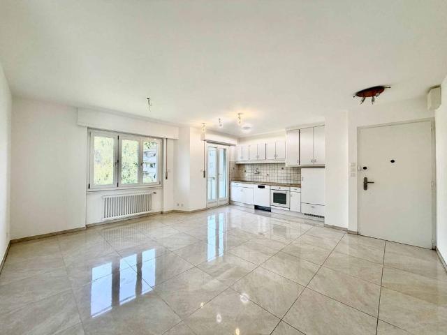Charming 3.5 room apartment with stunning lake views