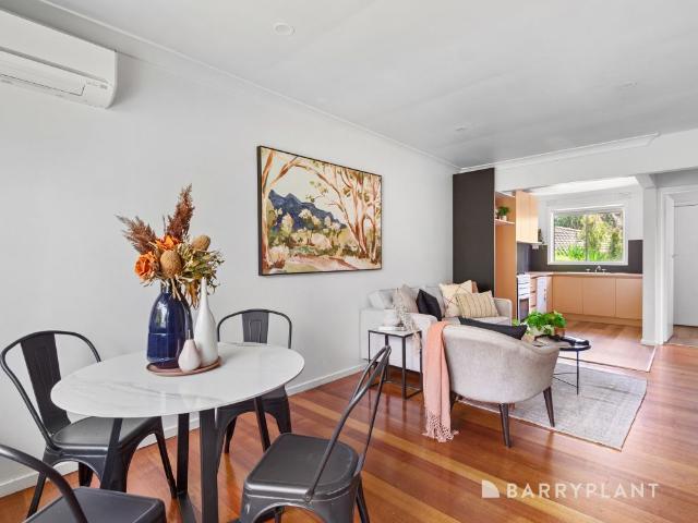 Charming Unit, Vibrant Locale