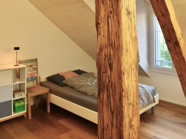 Charming, well maintained Loft, Unterengstringen Amsterdam Apartments for Rent