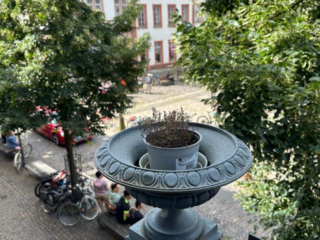 Charming and fully furnished flat with nice neighbours with weekly cleaning