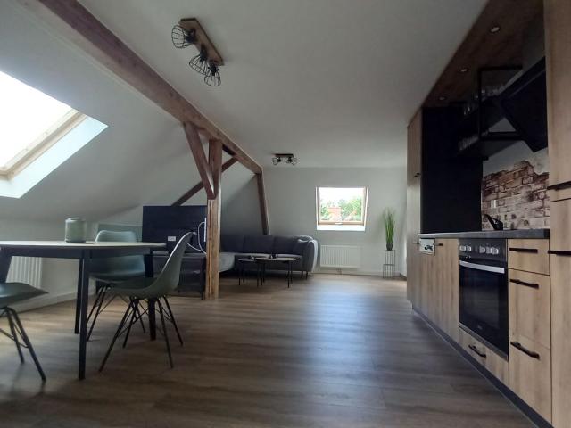 Charming apartment conveniently located, Leipzig Amsterdam Apartments for Rent