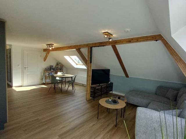 Charming apartment conveniently located, Leipzig Amsterdam Apartments for Rent
