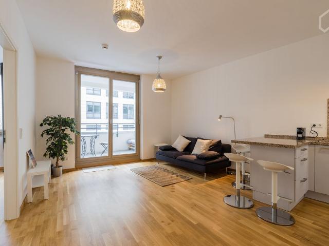 charming apartment in Mitte/Center Berlin, Berlin Amsterdam Apartments for Rent