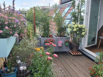 Friedrichshagen, Berlin, Elsengrund, Berlin, Bundesland Berlin