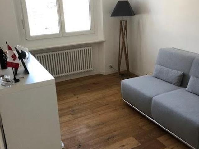 Charming bijoux apartment in Zurich Wipkingen