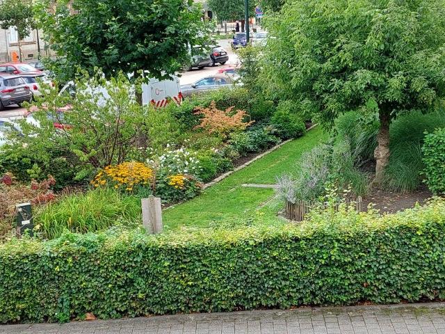 Charming bright apartment with south facing rear terrace