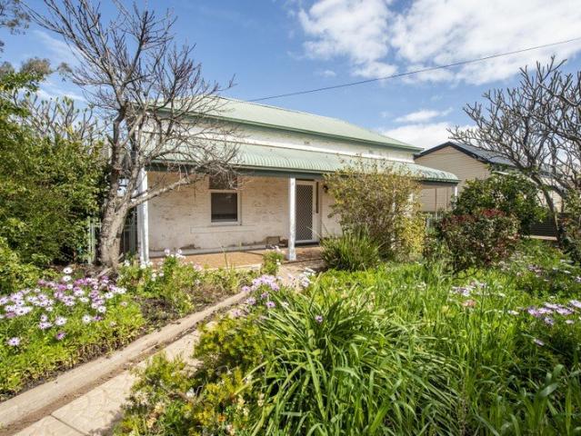 Charming Cottage Style Home with Exceptional Shedding