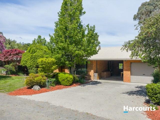 Charming Country Living on the Edge of Korumburra