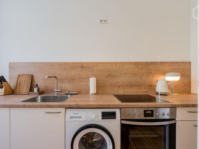 Charming cozy 2 bedroom apartment with balcony in Berlin Prenzlauer Berg next to Schönhauser Allee, Berlin Amsterdam Apartments for Rent