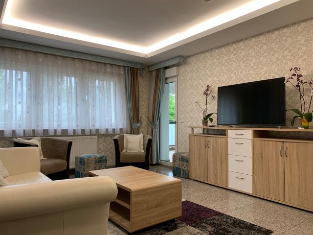 Charming Family Apartment in Mainz Kastel/Wiesbaden with AC, Balcony, Parking, Rhine View