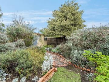 Charming Family Living in a Quiet Bell Post Hill Pocket